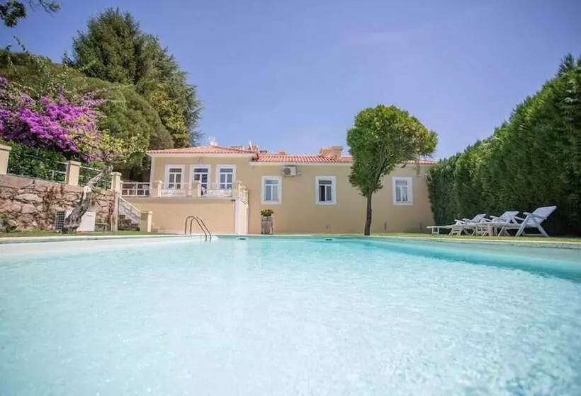 교외 호텔 Glicínia Boutique