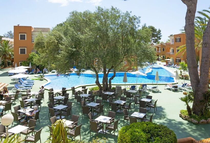 Hsm Club Torre Blanca