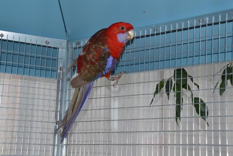 בית מלון כפרי Garda