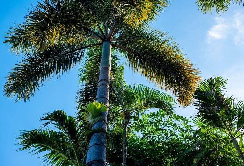 فندق Samui Natien Resort