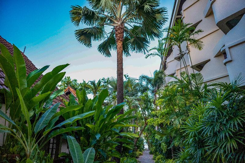 فندق Samui Natien Resort