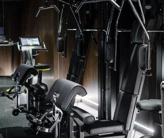 ホテル The Amauris Vienna   Relais & Châteaux