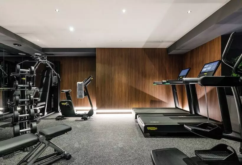 هتل The Amauris Vienna Relais & Châteaux