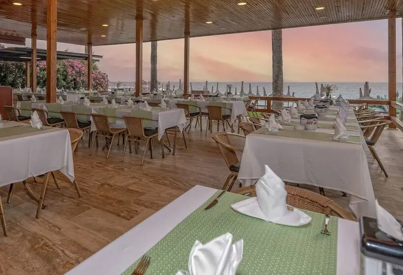Meryan Hotel   All Inclusive