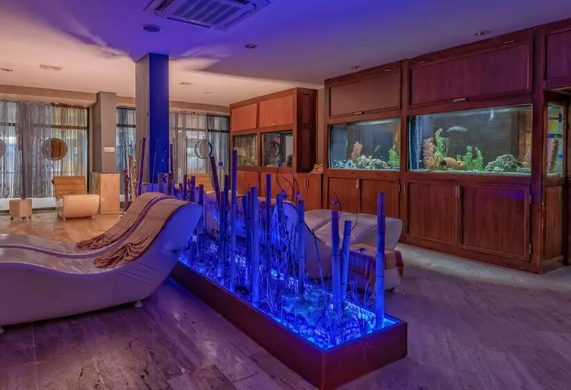 Meryan Hotel   All Inclusive