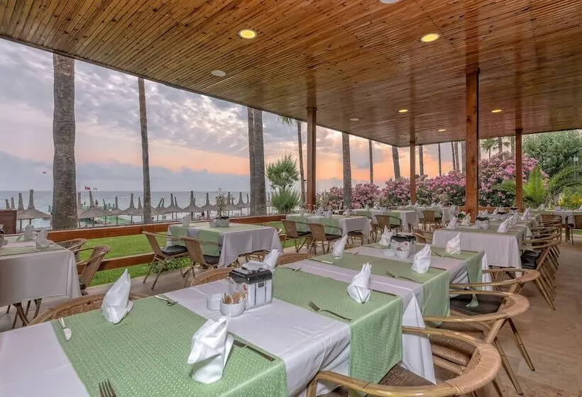 Meryan Hotel   All Inclusive