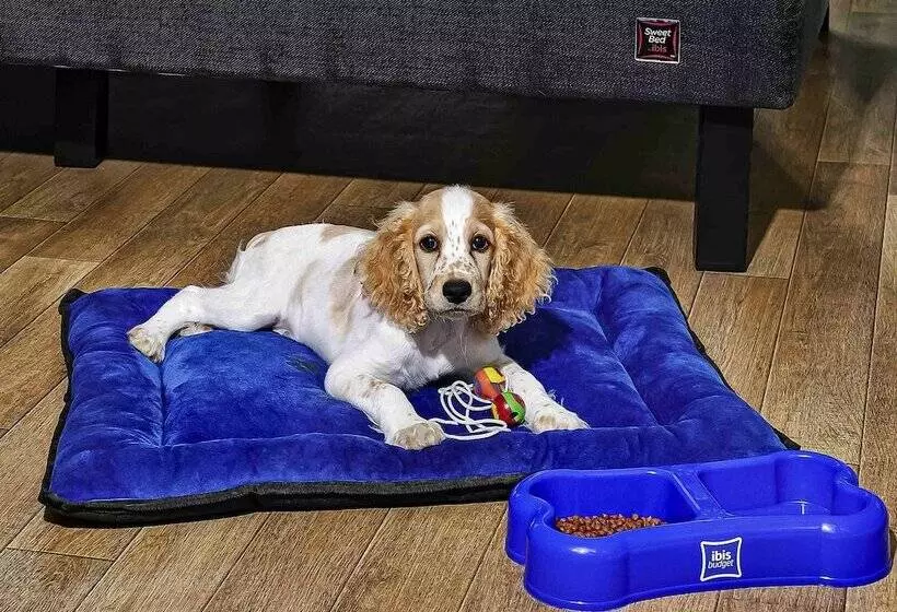 Hotelli Ibis Budget Lima Miraflores