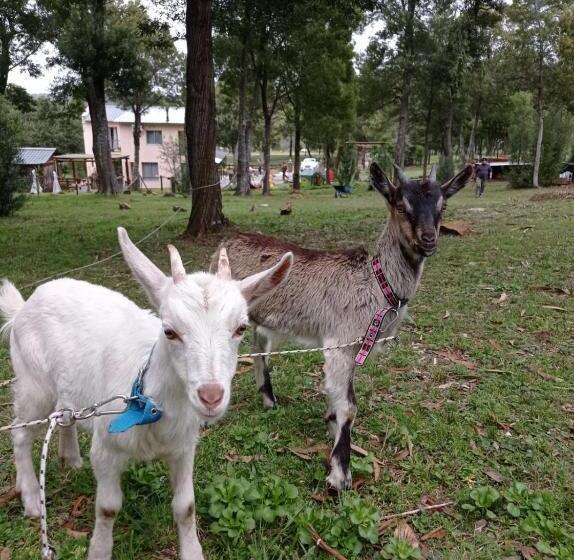 Schronisko Posada La Serena
