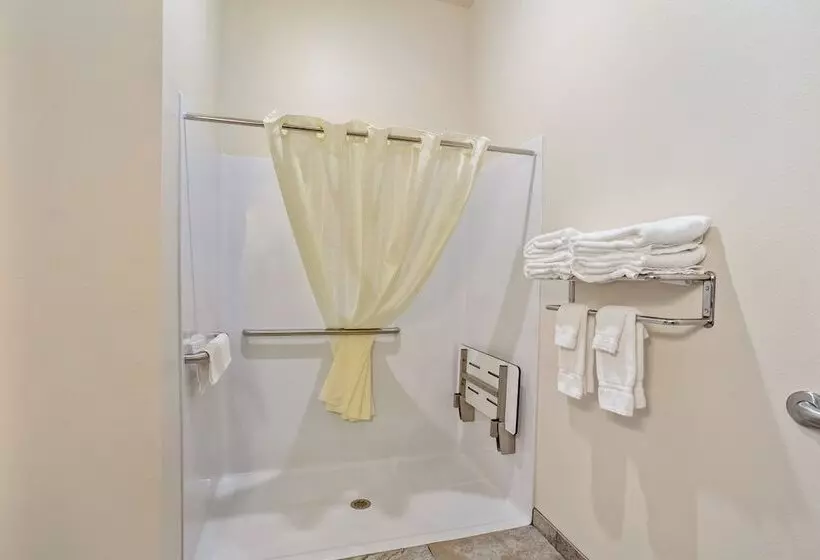 Cobblestone Hotel & Suites   Little Chute