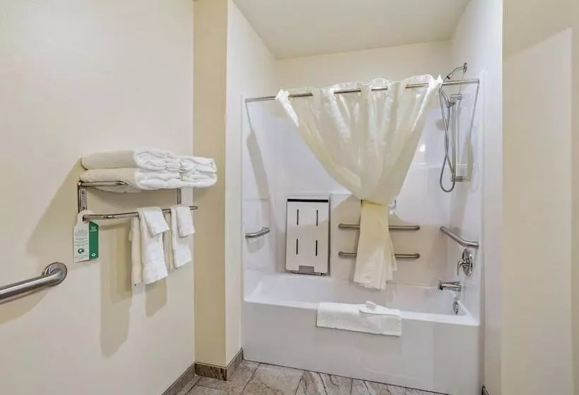 Cobblestone Hotel & Suites   Little Chute