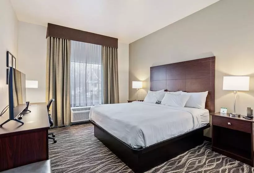 Cobblestone Hotel & Suites   Little Chute