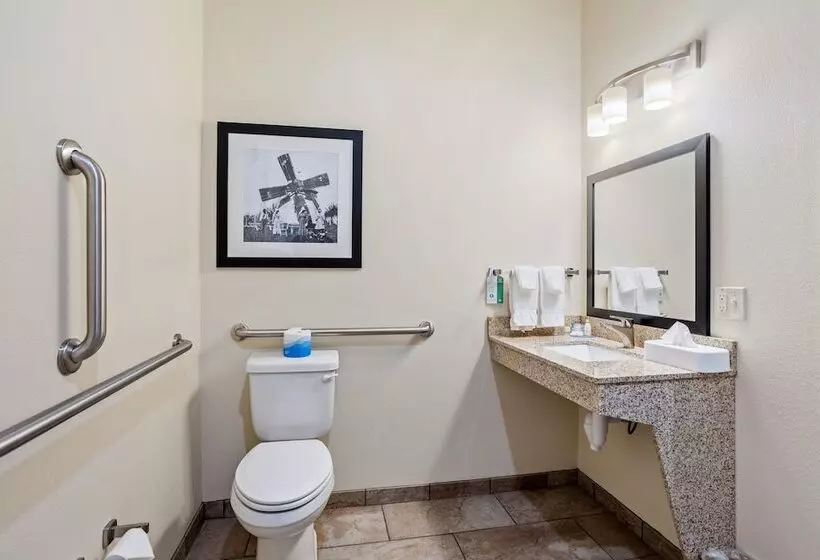 Cobblestone Hotel & Suites   Little Chute