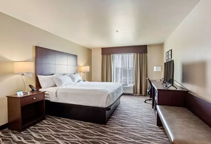 Cobblestone Hotel & Suites   Little Chute