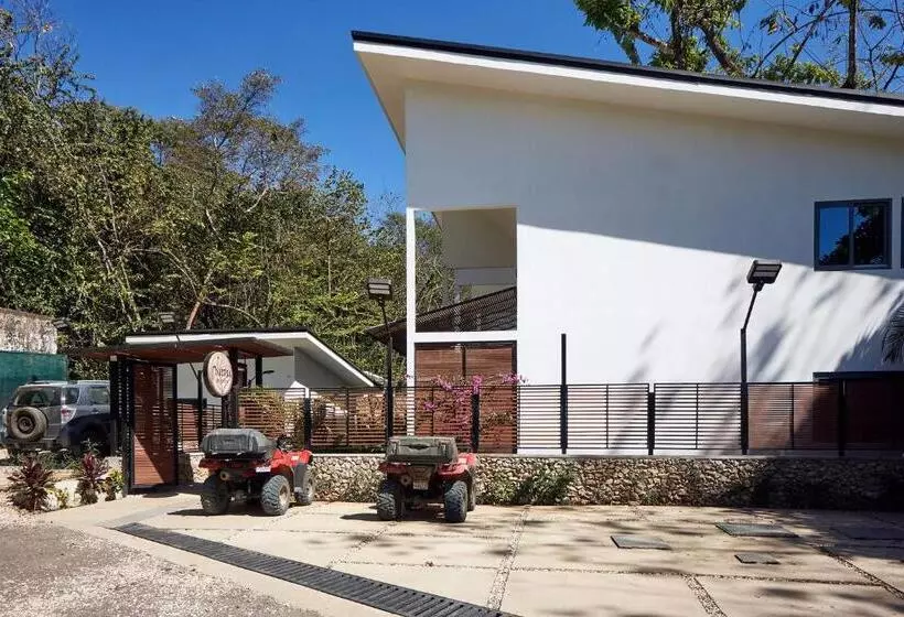 Natura Loft Garden