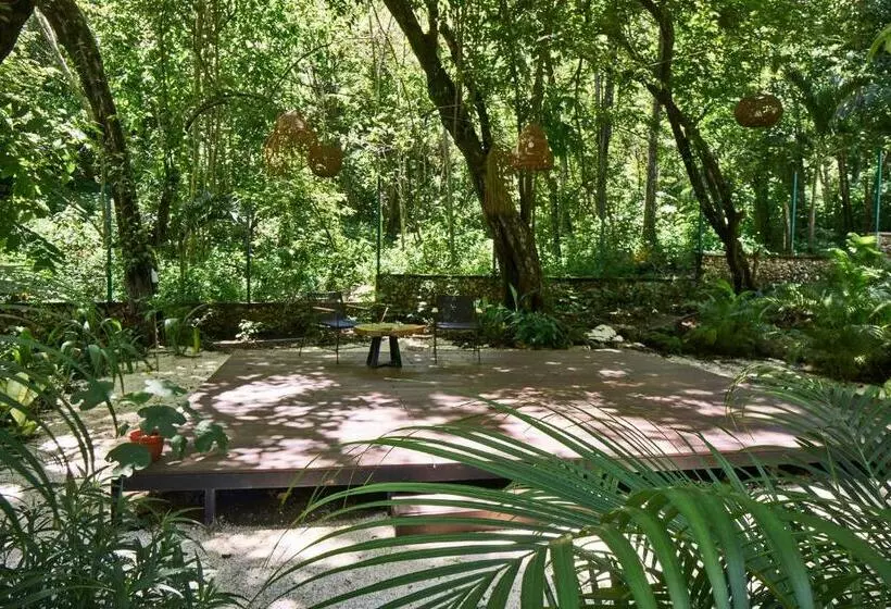 Natura Loft Garden
