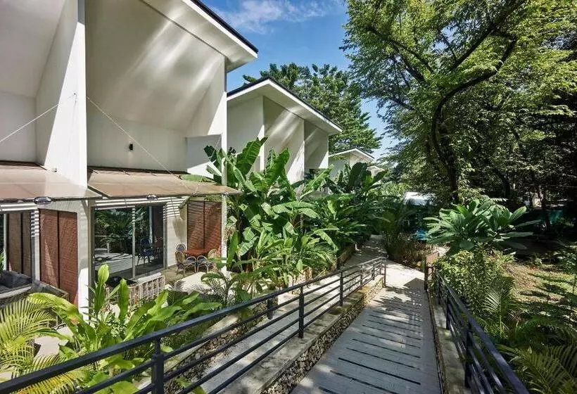 Natura Loft Garden