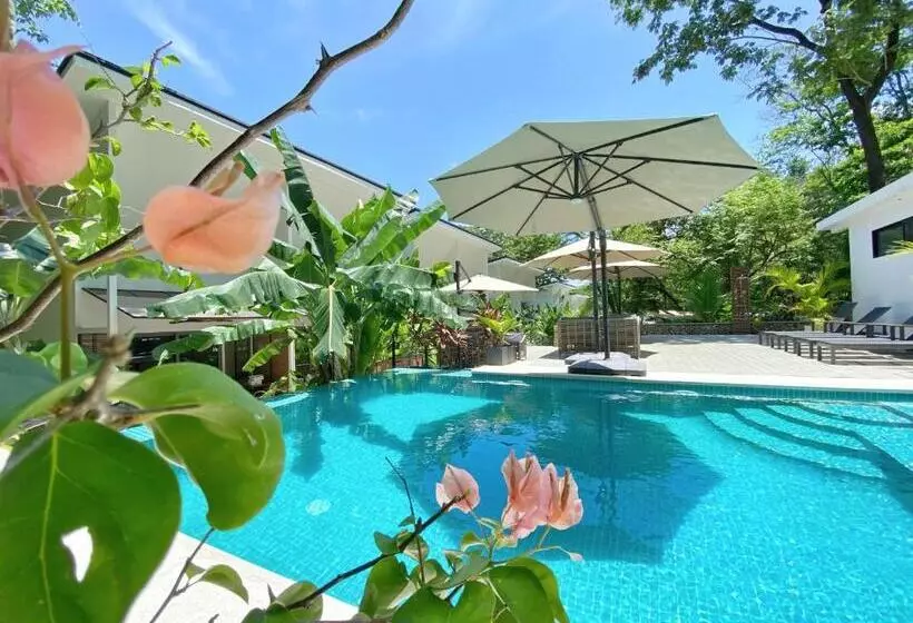 Natura Loft Garden
