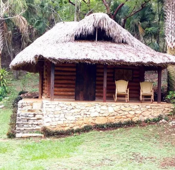 ペンション Room In Lodge   Sierraverde Huasteca Potosina Cabins Palo De Rosa