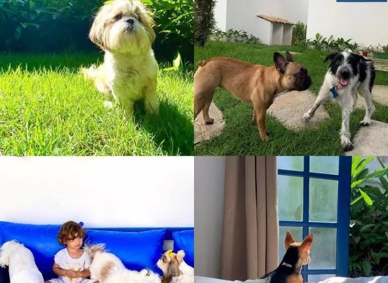 پانسیون Suítes Curta Paraty, Família E Pets
