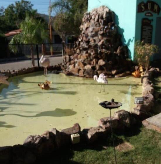 Gran Turín Hotel Boutique Parque,arte Y Tecnología