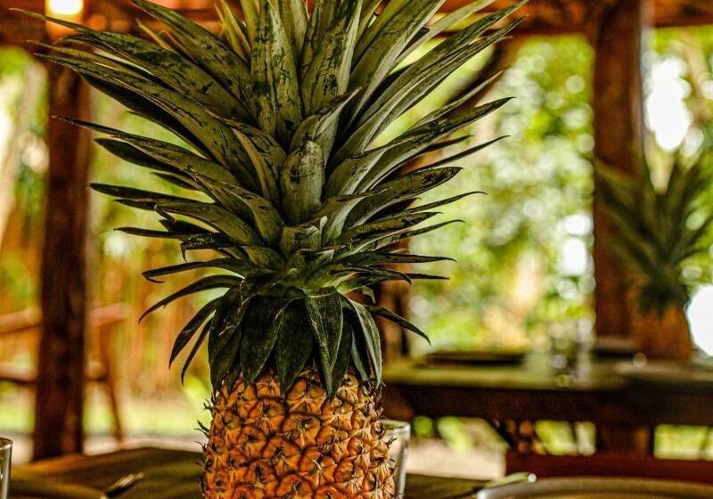 Mi Kasa Tu Kasa Bacalar By Nah Hotels