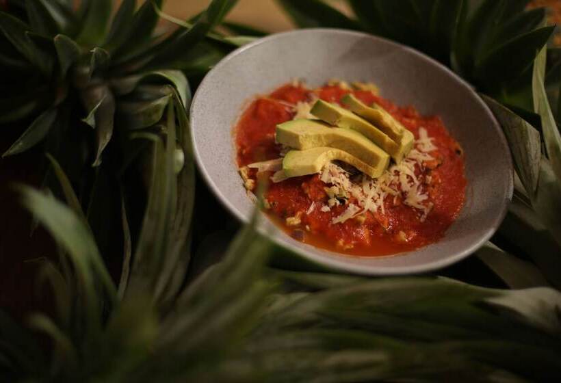 Mi Kasa Tu Kasa Bacalar By Nah Hotels