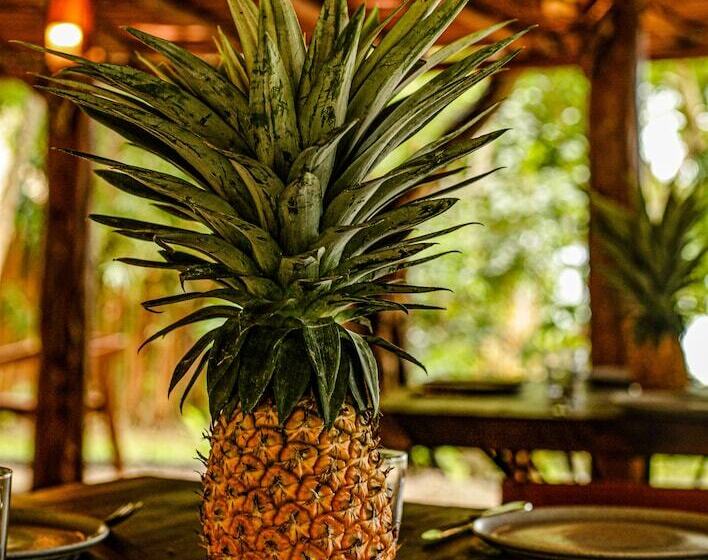 Mi Kasa Tu Kasa Bacalar By Nah Hotels