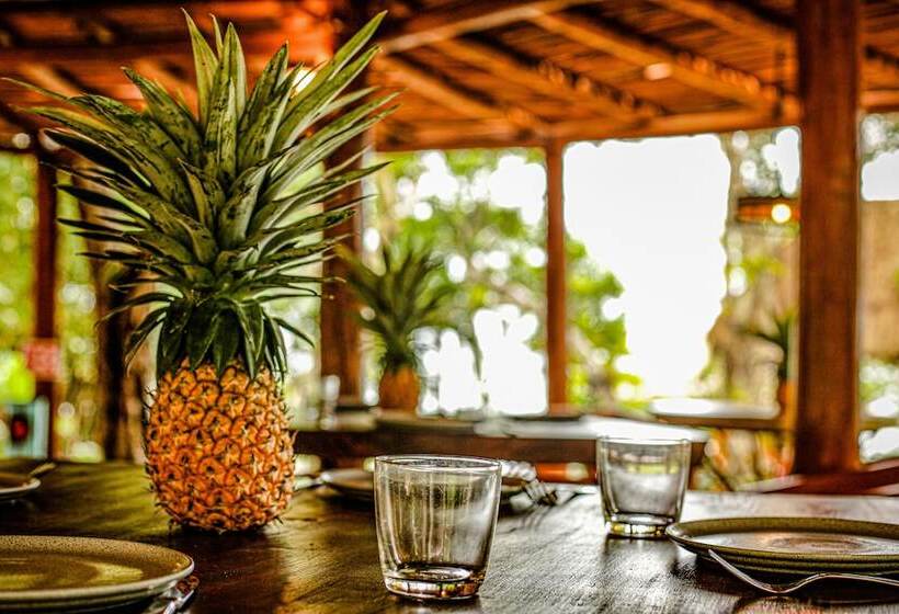 Mi Kasa Tu Kasa Bacalar By Nah Hotels