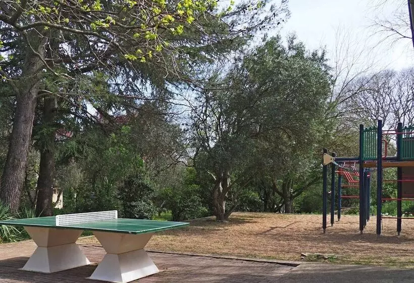 Auberge De Jeunesse Hi Nîmes