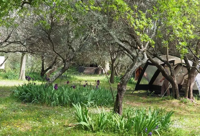 Auberge De Jeunesse Hi Nîmes