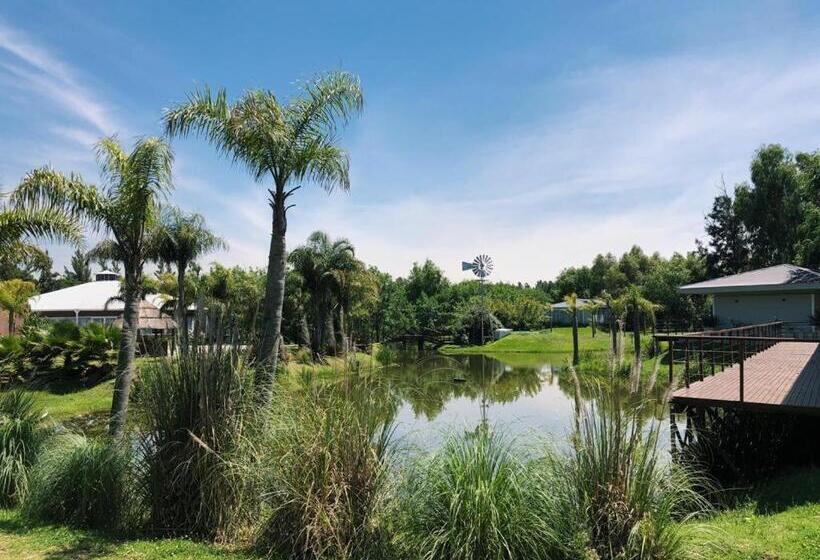 فندق صغير La Posada Multiespacios