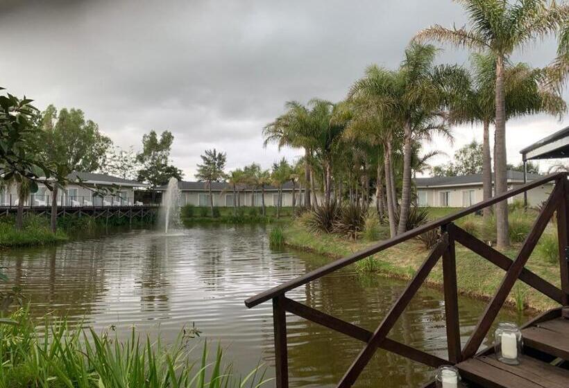 فندق صغير La Posada Multiespacios