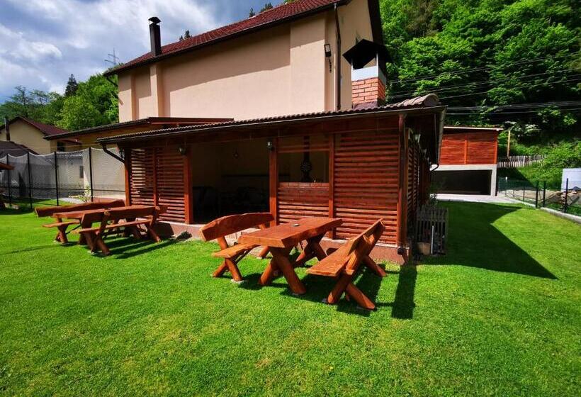 پانسیون Dendy