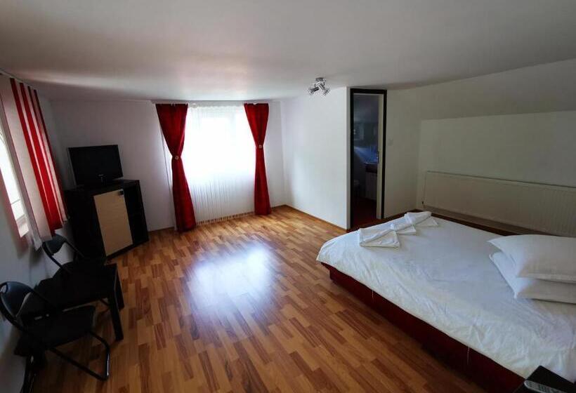 پانسیون Dendy