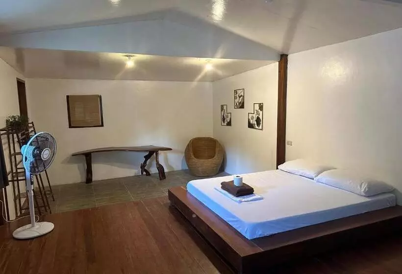 ペンション Tribal Xperience Guesthouse