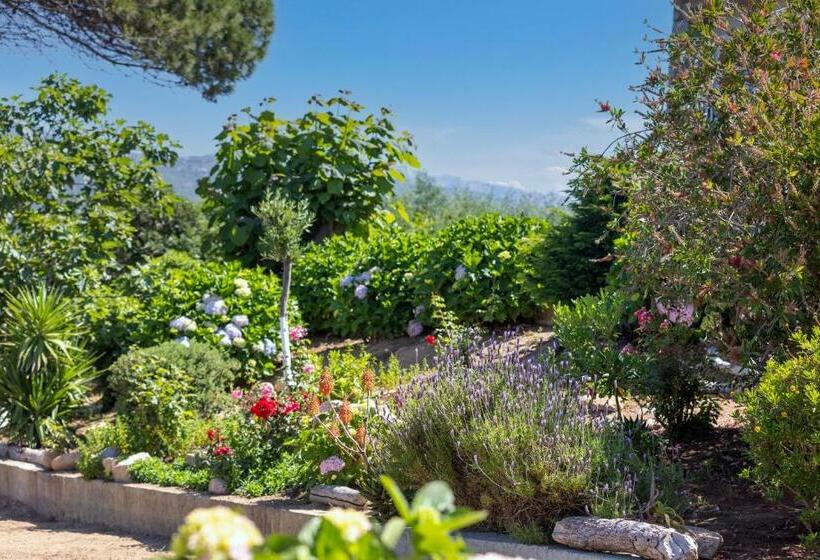 فندق Arcu Di Sole