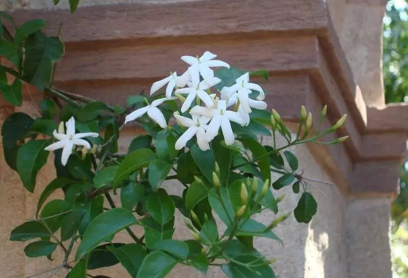 호텔 Argentikon Luxury Suites