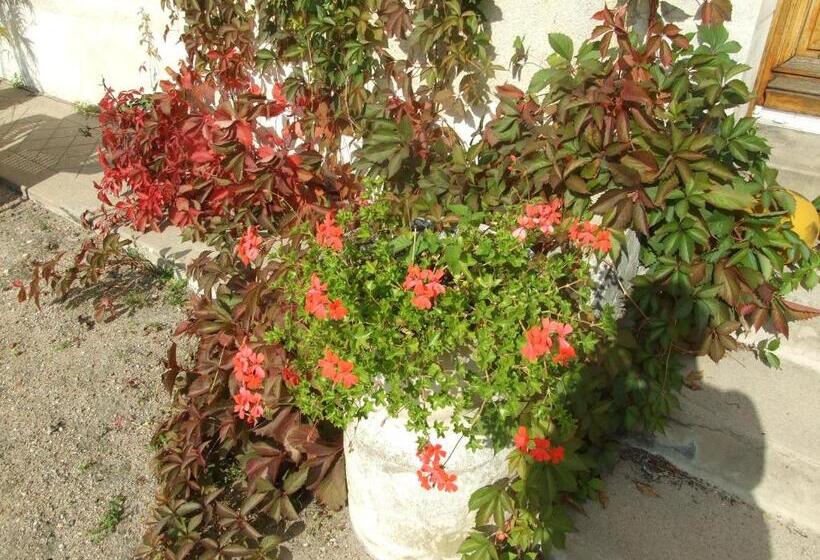 בית מלון כפרי Aurore De Beaufort