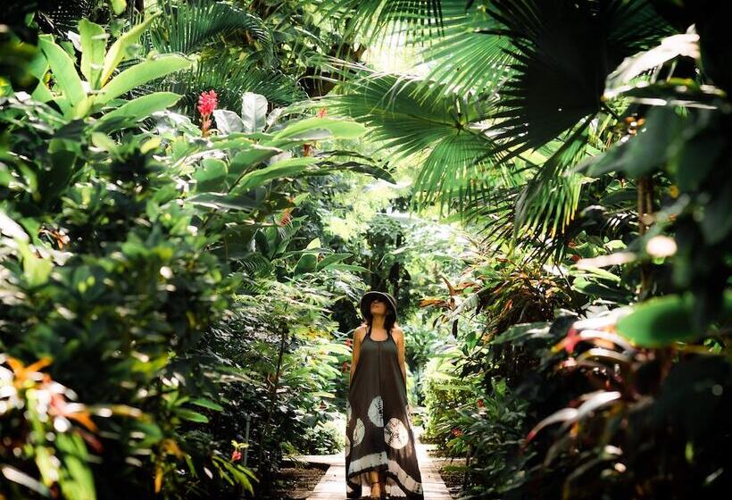 Отель Bahia Del Sol Beach Front Boutique