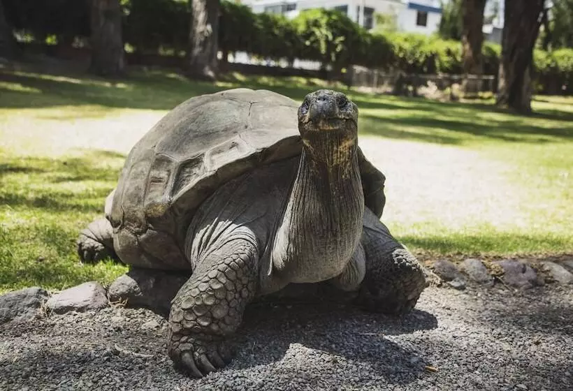 Отель Wyndham Costa Del Sol Arequipa