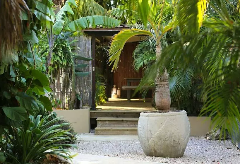 هتل Bamboo Bonaire Boutique Resort