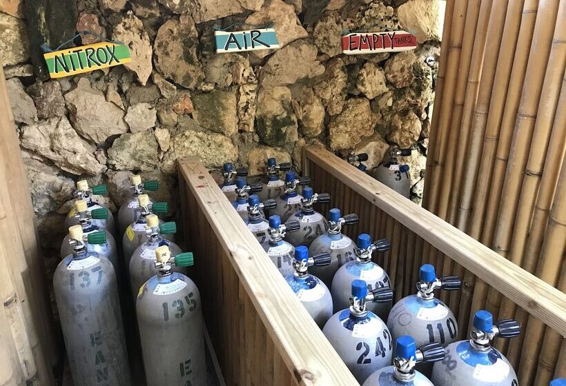 هتل Bamboo Bonaire Boutique Resort