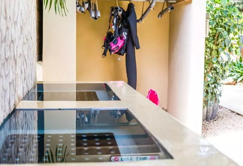 هتل Bamboo Bonaire Boutique Resort