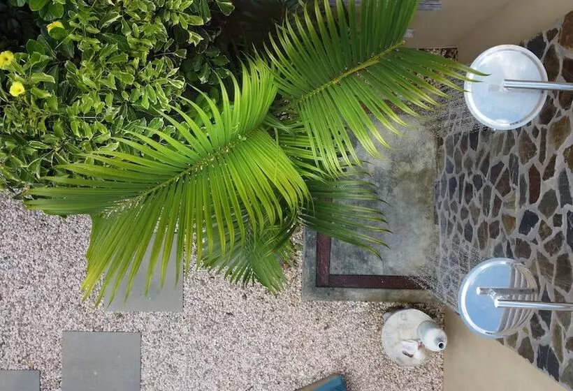 هتل Bamboo Bonaire Boutique Resort