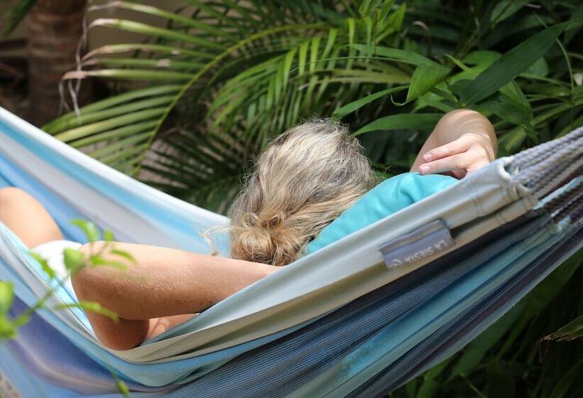 هتل Bamboo Bonaire Boutique Resort