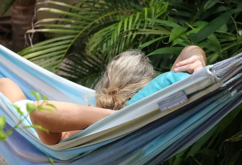 هتل Bamboo Bonaire Boutique Resort