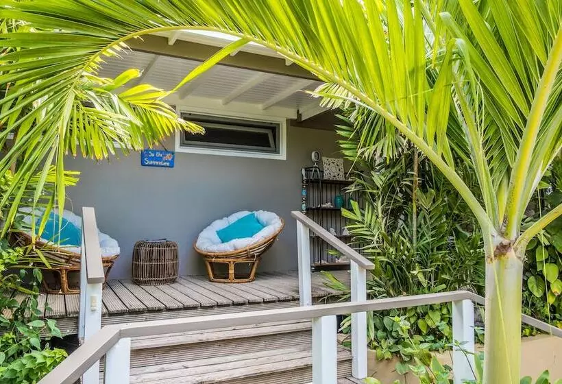 هتل Bamboo Bonaire Boutique Resort