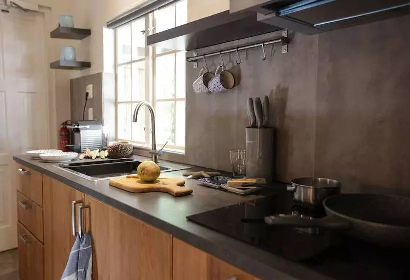 هتل Bamboo Bonaire Boutique Resort