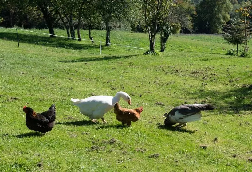 Hotelli Château De Saint Antoine