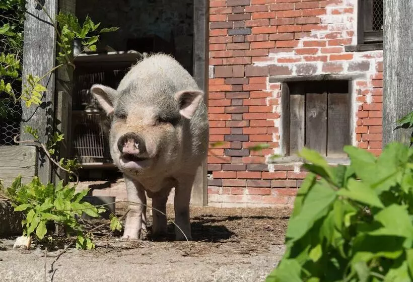 Hotelli Château De Saint Antoine
